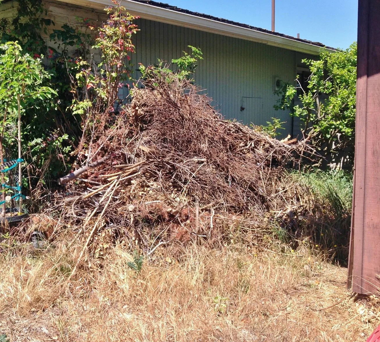 Yard debris removal services in Costa Mesa